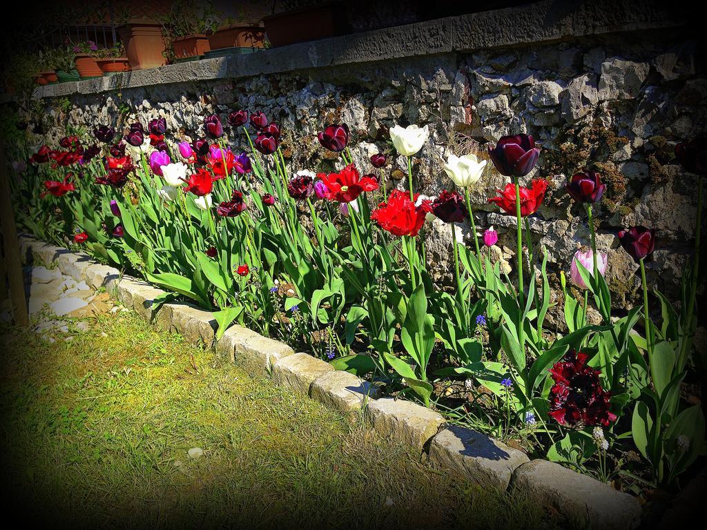 Agriturismo Borgovecchio Romans d'Isonzo Dış mekan fotoğraf